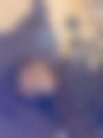 صورة العضو