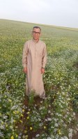 Marriage website
